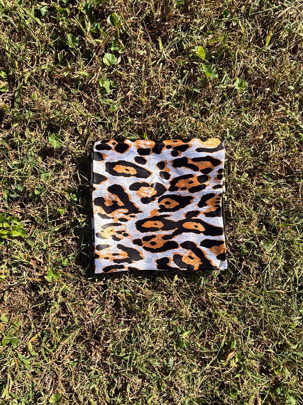 White Gold Cheetah